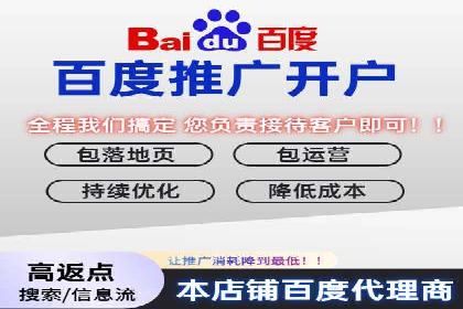 揭秘百度竞价广告：实战案例分析及优化策略